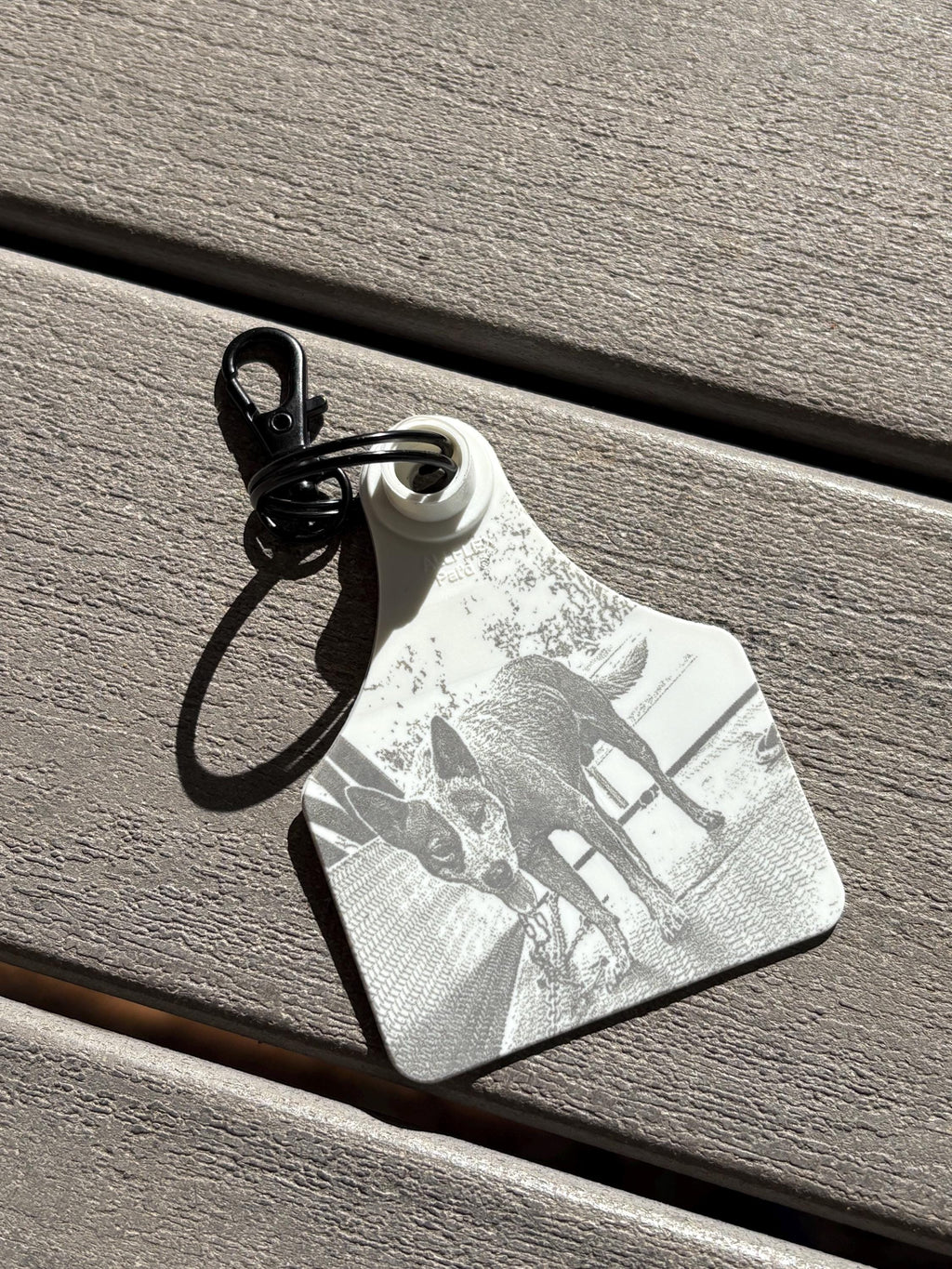 Personalised cattle tag