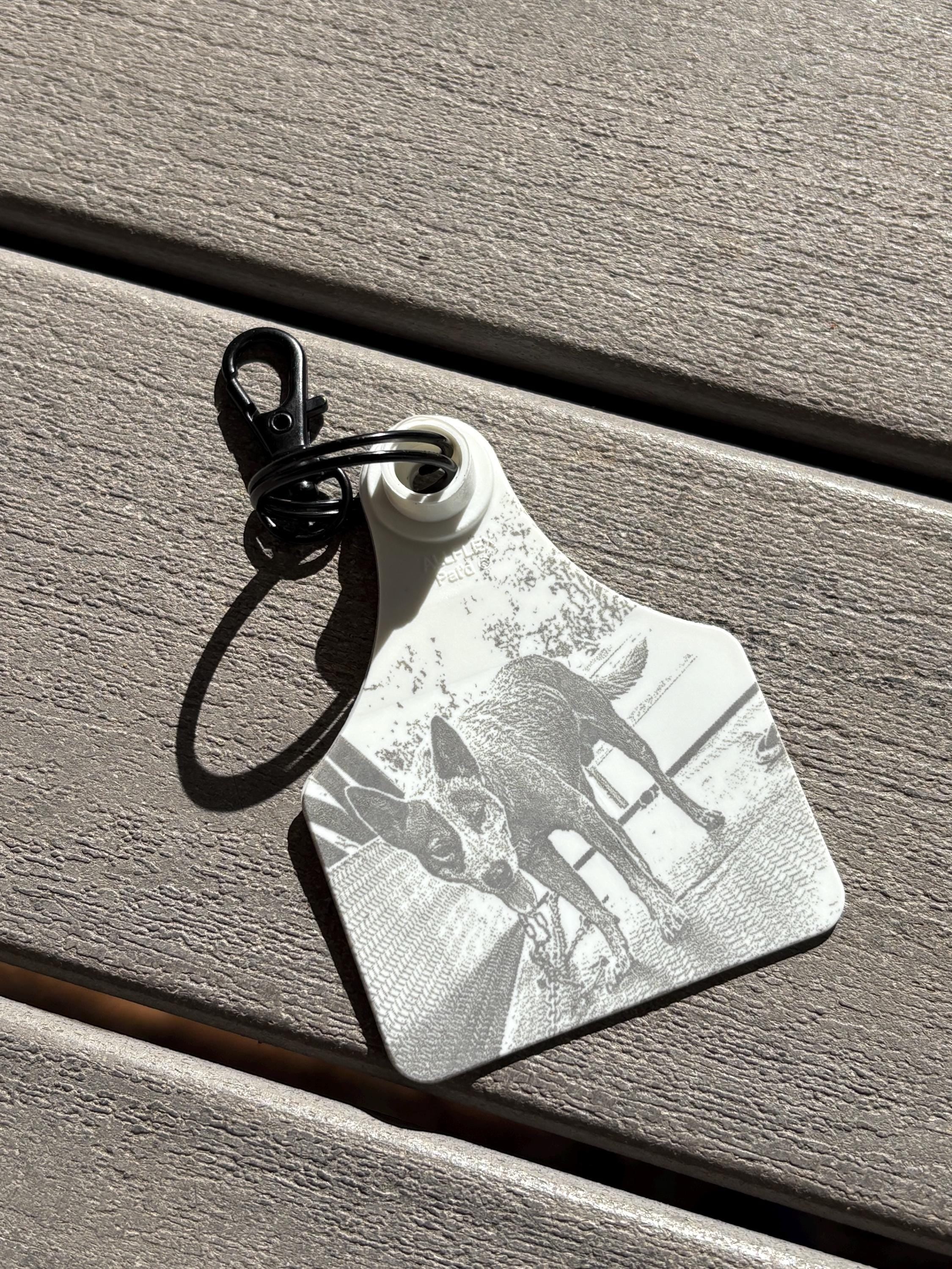 Personalised cattle tag