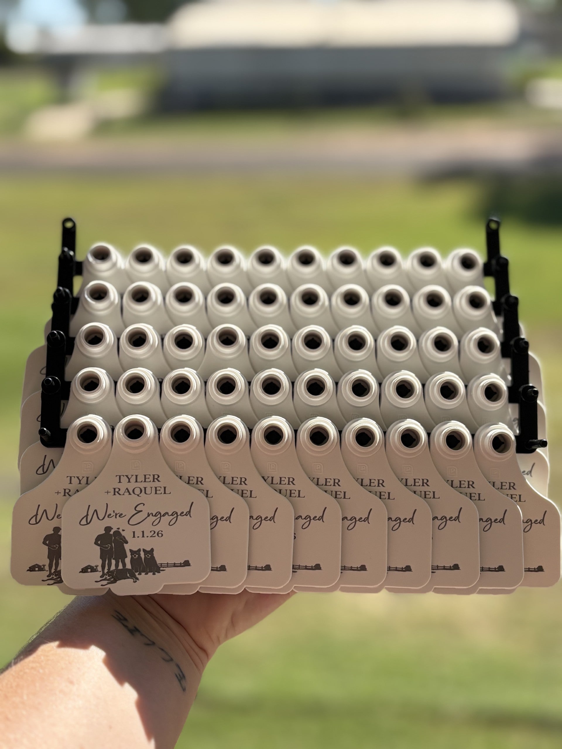 Custom Cattle Tags