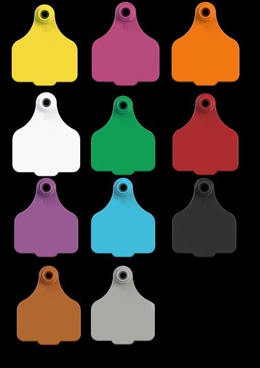 Personalised Cattle tags for your herd