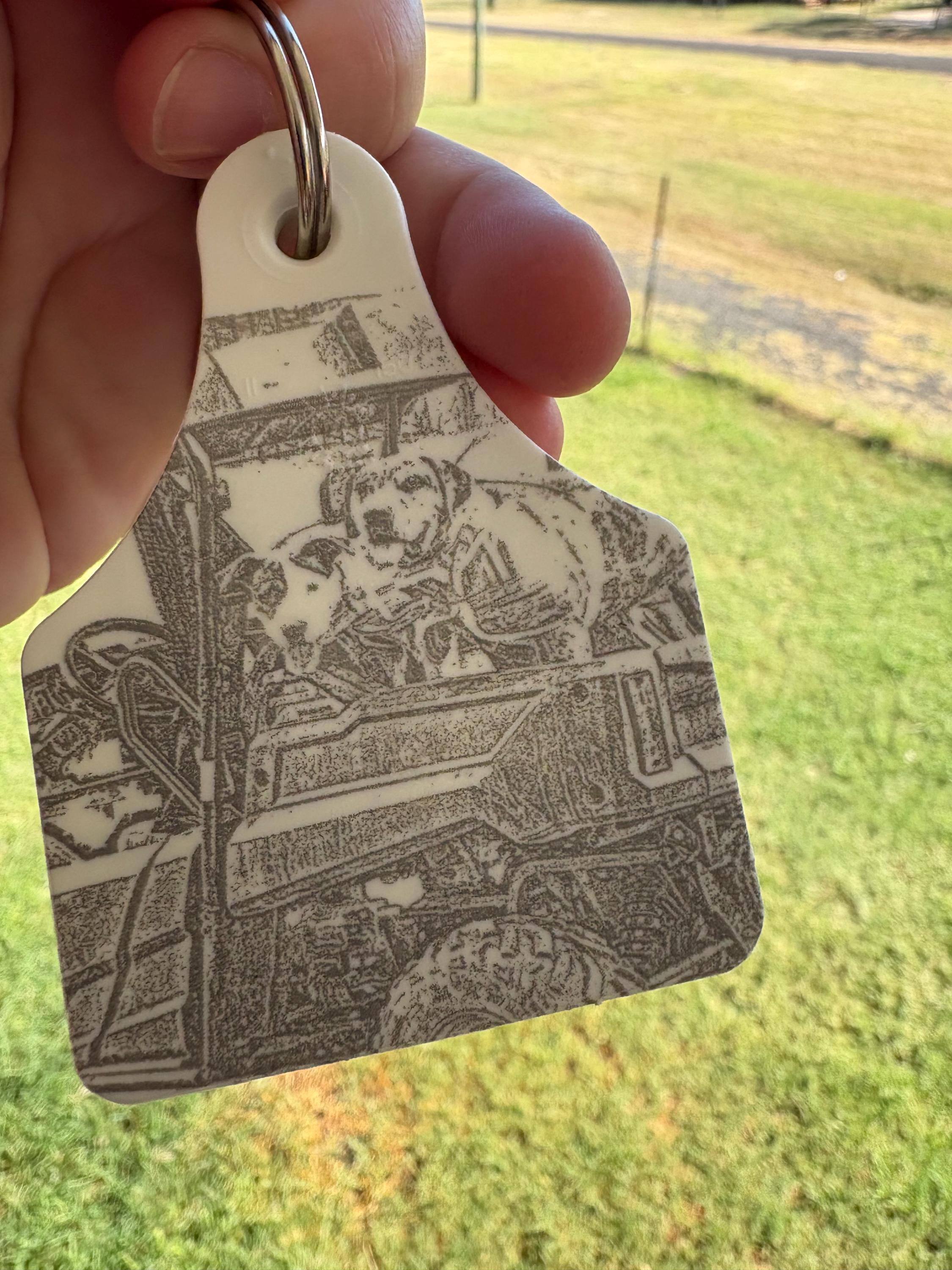Personalised cattle tag