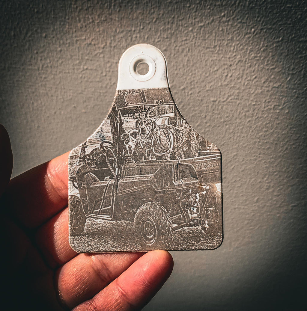 Personalised cattle tag