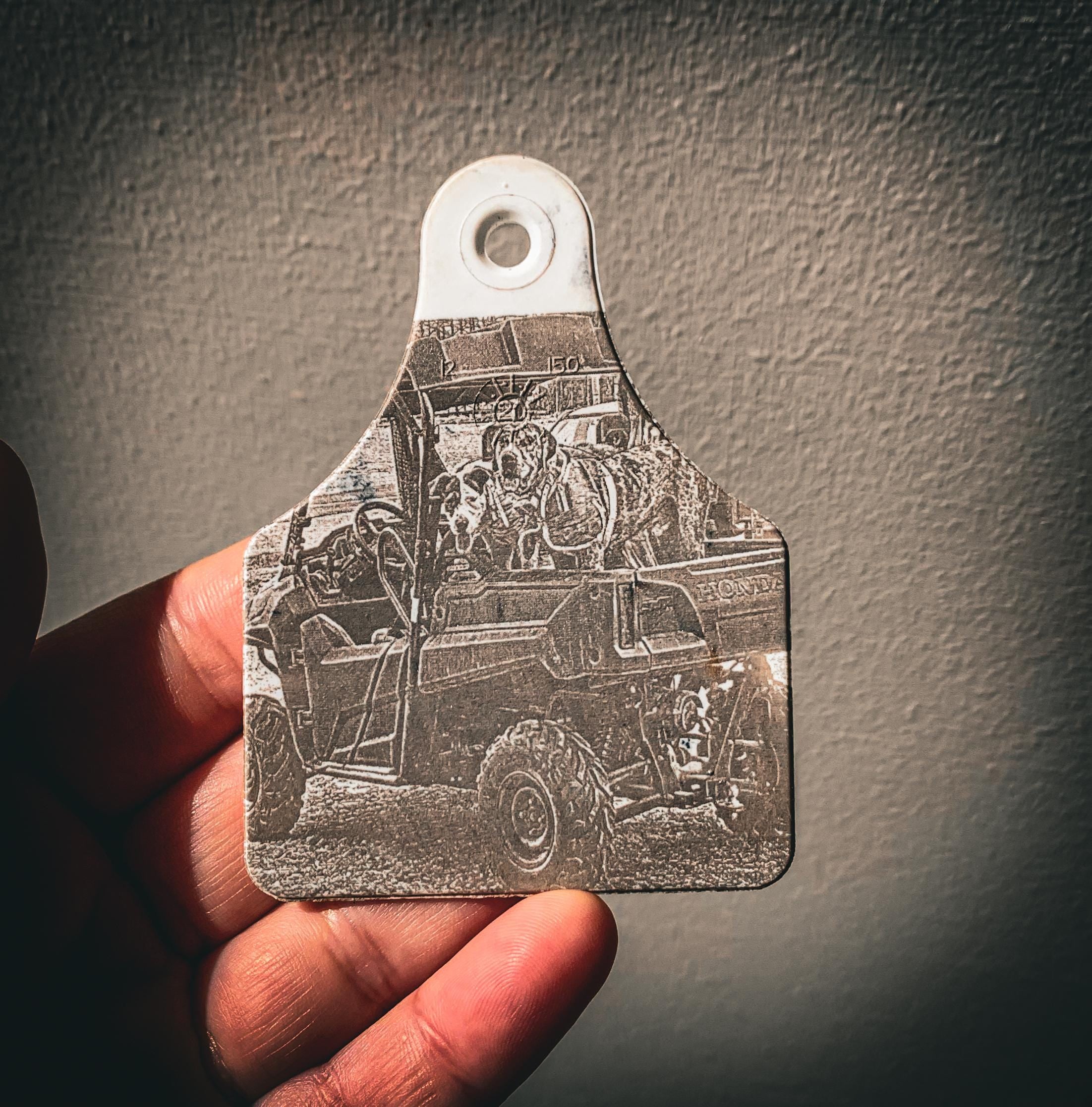 Personalised cattle tag
