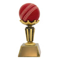 Cricket Ball Holder