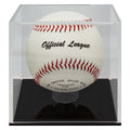 Baseball Ball Case
