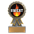 Aster - Sweat Training