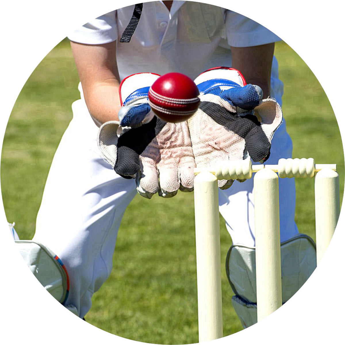 Cricket Wicketkeeper