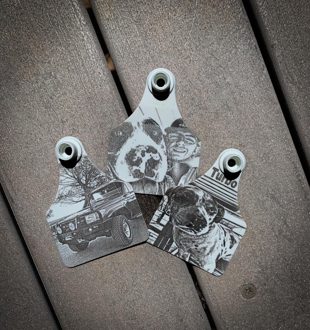 Personalised cattle tag