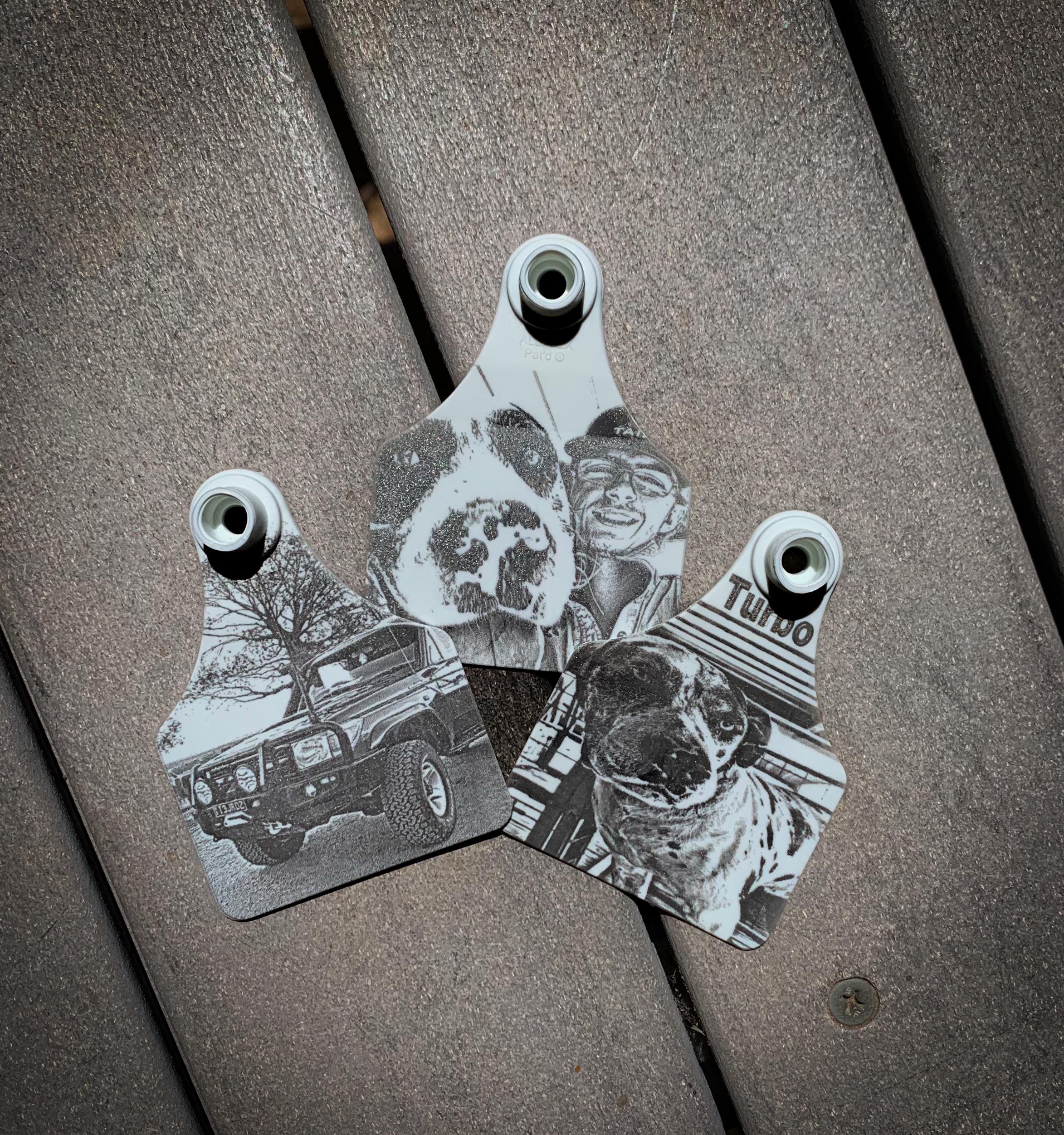 Personalised cattle tag