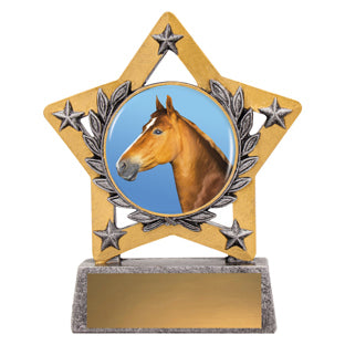 Mini Star Colour Trophy — Personalised Award