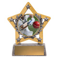 Mini Star Colour - Batting