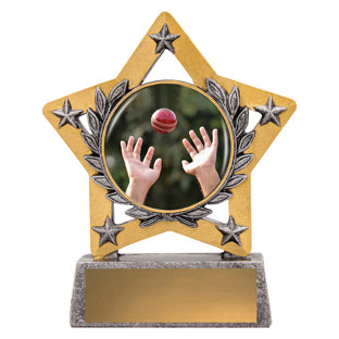 Mini Star Colour Trophy — Personalised Award