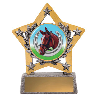 Mini Star Colour Trophy — Personalised Award
