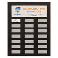 Colour Headline Plaque