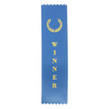 Ribbon - Winner