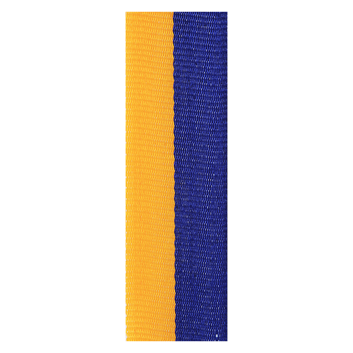 Blue / Gold Ribbon
