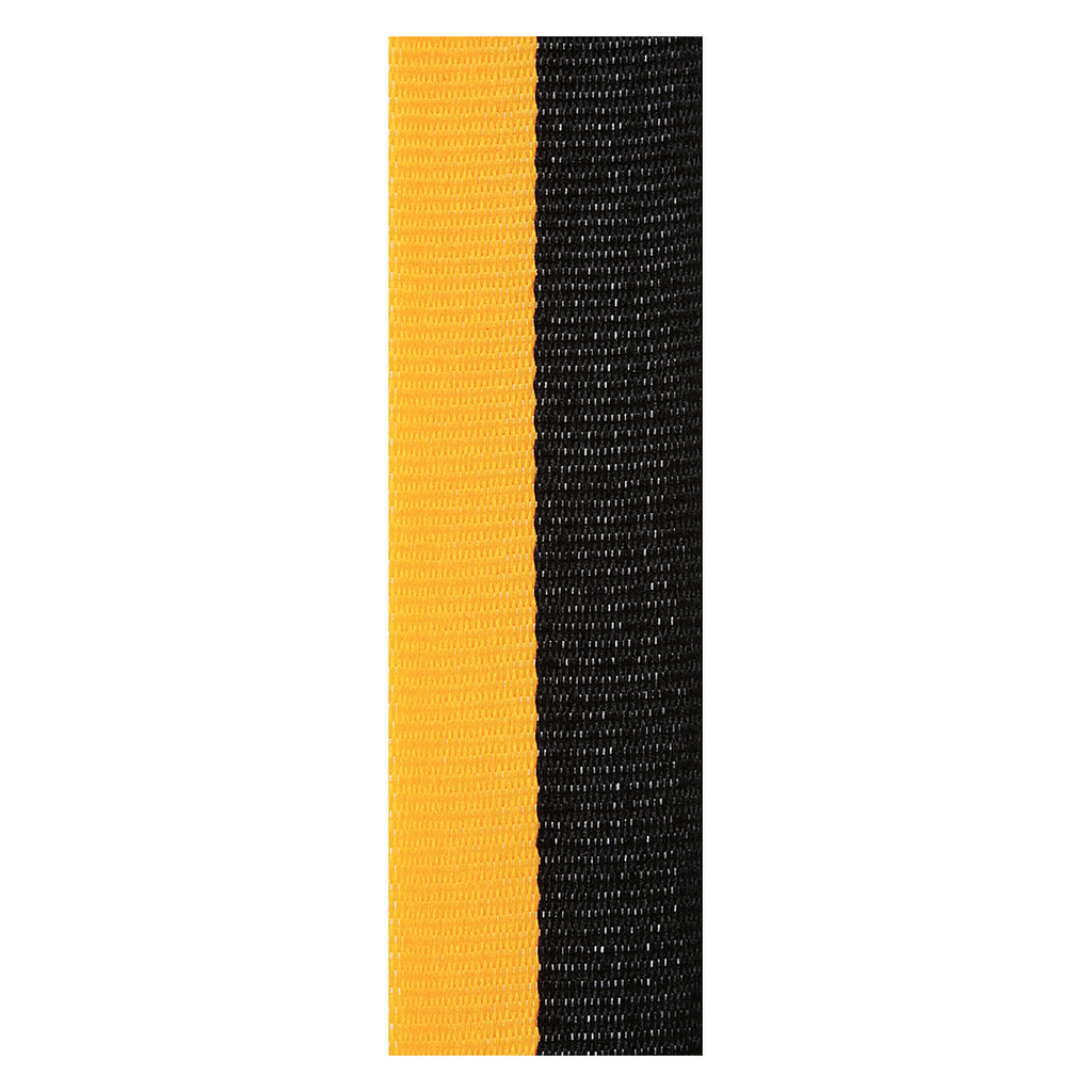 Black / Gold Ribbon