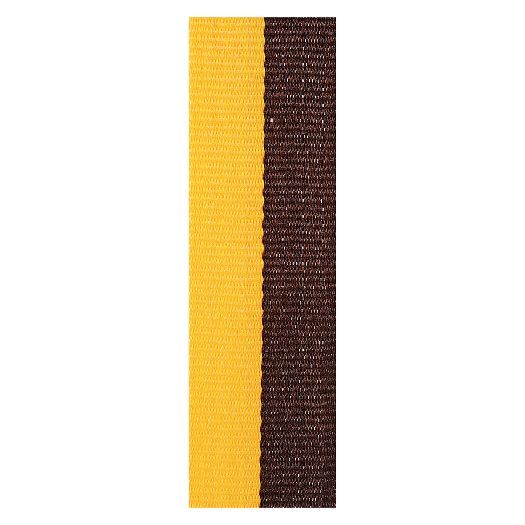 Brown / Gold Ribbon