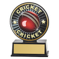 Vibe Cricket